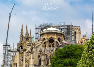 Notre Dame nach dem Brand